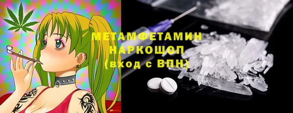 прущие грибы Ладушкин