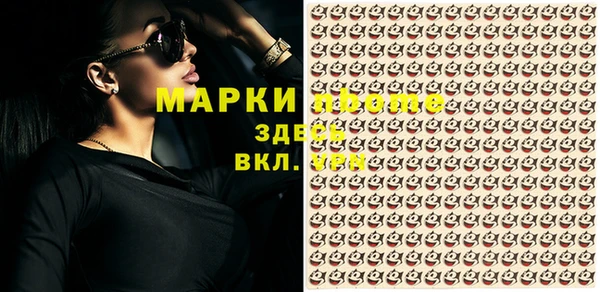 прущие грибы Ладушкин