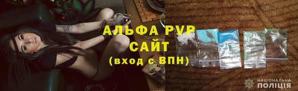 прущие грибы Ладушкин