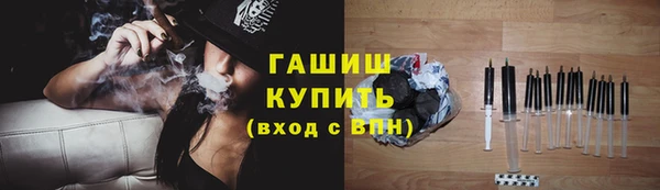 прущие грибы Ладушкин