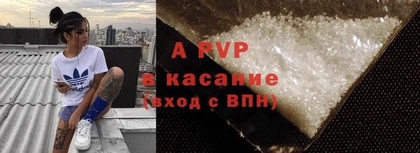 прущие грибы Ладушкин