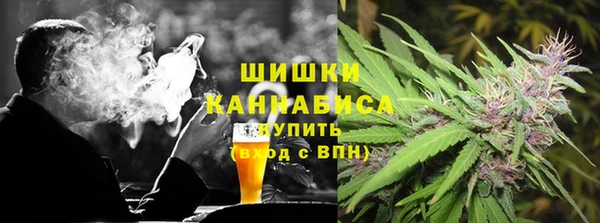 прущие грибы Ладушкин