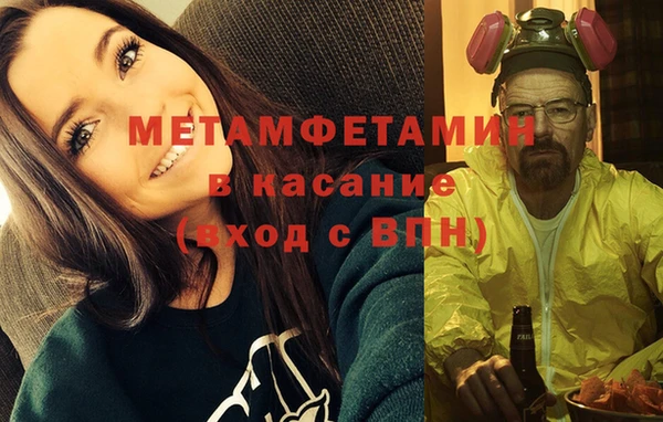 прущие грибы Ладушкин