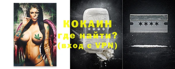 прущие грибы Ладушкин
